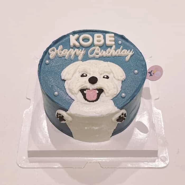 Trần Ngọc Huyền avatar