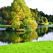 Huỳnh Quang Thanh avatar